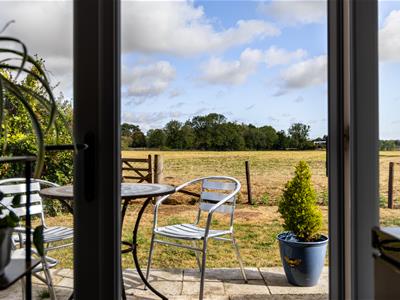 Picture 46